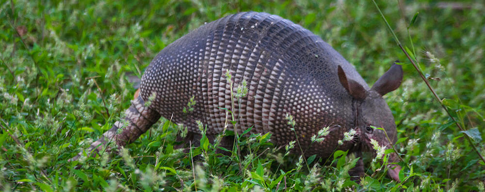 Curú Wildlife Refuge | Tropical Tours Shuttles