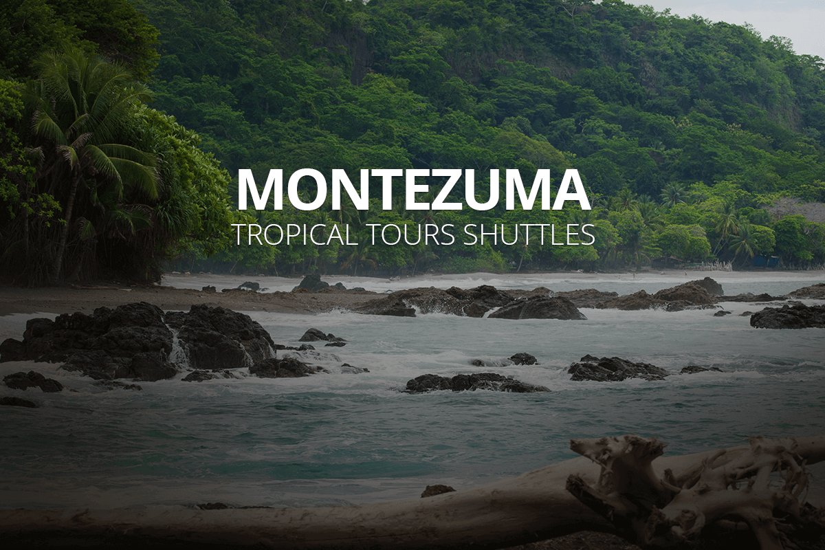 Shuttle Bus to Montezuma in Costa Rica