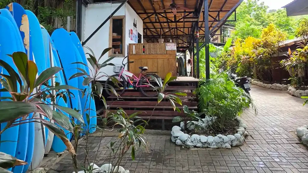 El Gato Rojas Surf Hostel Transportation Services
