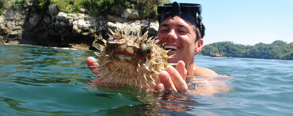 Fish-at-Snorkeling