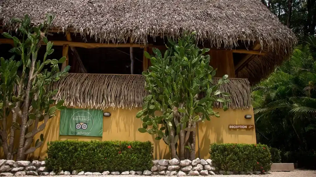 Hotel Samara Paraiso Transportation Services