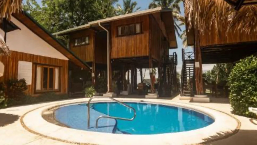Tree House Inn Transportation Services